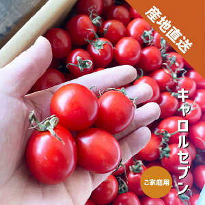 ~jg}g LZu 500g`2kg ƒp a̎RY 󂠂 t[cg}g ʌ