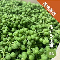 楽天市場】山椒 の 実 無 農薬の通販