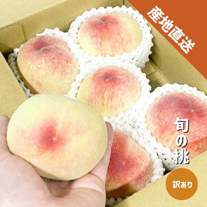 �y6�����{�`�\��z�� 4�ʁ`������4kg �󂠂� �a�̎R���Y �{�̓� ���ƒ�p �䒆�� ���P �쒆�� ���� ����