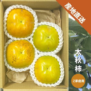 y9{`\zH` 1kg`4kg a̎RY ƒp Ê`  ` イ