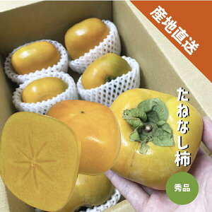 y9{`\z` ˂Ȃ 1kg`4kg Gi  ˂Ȃ 햳 j`  `