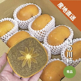 紀の川柿 秀品 約1kg〜4kg 和歌山県産 たねなし 種無し 黒柿 ギフト