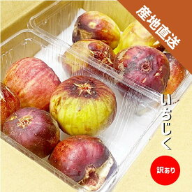 いちじく 訳あり 2〜8パック (1パック約350g) 和歌山県産 傷 めくれ イチジク 無花果 紀の川市