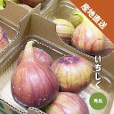 いちじく 2〜8パック (1パック約300g) 秀品 和歌山県産 イチジク 無花果 紀の川市