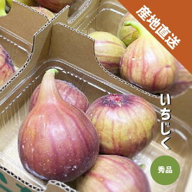 いちじく 2〜8パック (1パック約300g) 秀品 和歌山県産 イチジク 無花果 紀の川市