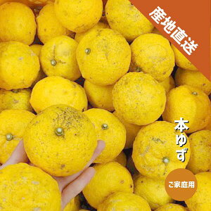 䂸 󂠂 1`5kg a̎RY {䂸 Mq ~ ƒp