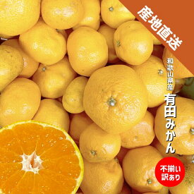 有田みかん 訳あり 2kg、5kg、10kg サイズ混合 和歌山県産 みかん