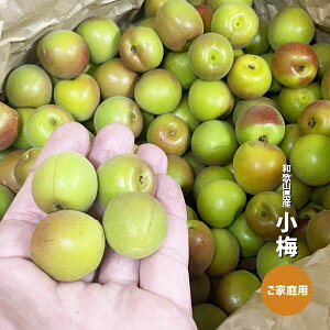 ���~ 1�`10kg ���ƒ�p �a�̎R���Y ���� �g�� �~���� �J���J���~