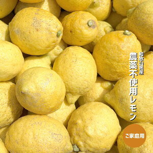 �_��s�g�p������ 1�`5kg ���F ���ƒ�p �a�̎R���Y �󂠂� �h����/���b�N�X�s�g�p �I�̐�s ���ʌ���