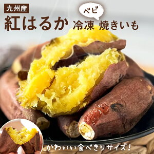Ⓚ xrĂ 500g × 4[BY g͂邩] Y sgp Ă ܂ ׂɂ͂邩 Ⓚ ₫ Tc}C ۑ 󂠂 Ȃ Ԃ ЂƂ   ܈ 