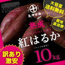 !訳あり激安!【島津甘藷】熟成★紅はるか 10kg(サイズ未選別2Lサイズ〜2Sサイズ)