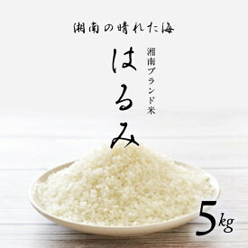 はるみ米 神奈川県　湘南産 2kg 5kg 10kg 　おいしい米