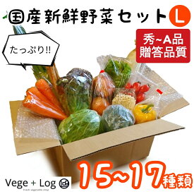 京都卸売市場より 国産新鮮野菜セット(L) 15~17種類 秀〜A品 ギフト用 贈答品質 野菜セット 定番野菜セット 野菜きのこセット 季節の野菜詰め合わせ おまかせ バレンタイン 母の日 父の日 御中元 御歳暮 本州送料無料