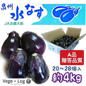 大阪府産 泉州 水なす A品 約4kg 20~28個入り ギフト用 贈答品質 母の日 父の日 お中元 御礼 お祝 泉州特産 泉州水なす 高級野菜 本州送料無料