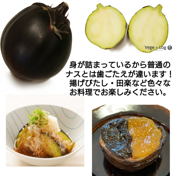 楽天市場 ブランド京野菜 賀茂なす 京都府産 1箱 約15個前後入り ギフト用 贈答品質 父の日 お中元 お供 高級野菜 本州送料無料 ベジタスログ