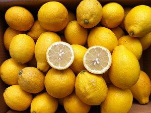 Y 炲ƐHׂ Y 3kgȏi悻38`12jƖ󂠂 _򃌃 m[bNXhܔ_򉻊w엿sgp@r^~C@󂠂@@NG_ܗLNo,