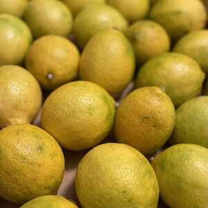 yz炲ƐHׂ鍑Y 1kgi悻15`5jƖ󂠂 Y _ m[bNXhܔ_򉻊w엿sgp r^~C 󂠂  NG_ܗLNo,1 X{