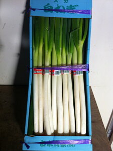 Y ˂ [lM 1(9-10) [˂ ˂ BenY