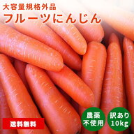 フルーツにんじん 約10kg以上 訳あり 人参 にんじん 規格外品含む 土づくり農薬不使用 ニンジン carrot