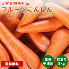 【送料無料】あす楽 フルーツにんじん 5kg 訳あり 人参 にんじん ニンジン 土づくり化学肥料農薬不使用　べジップル