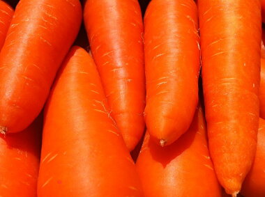 ������̵���������ե롼�Ĥˤ󤸤󣱣����ڷ��ܸ���̵��������äȤ櫓�����