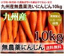 【送料無料】洗いフルーツにんじん10kg　ちょっと訳あり　九州産　無農薬