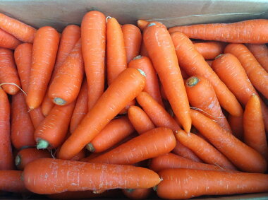 ������̵���������ե롼�Ŀͻ��������ڶ彣���ۡ�̵����������äȵ��ʳ��ۡڴ��ָ���ۡڿͻ����ǥ��塼���ۤ�����