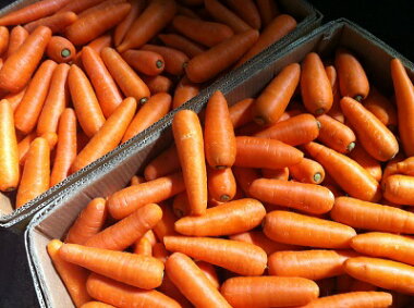 ������̵���������ե롼�Ĥˤ󤸤󣱣����ڷ��ܸ���̵��������äȤ櫓�����