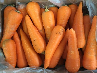 ������̵���������ե롼�Ŀͻ��������ڶ彣���ۡ�̵����������äȵ��ʳ��ۡڴ��ָ���ۡڿͻ����ǥ��塼���ۤ�����