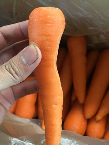 ������̵���������ե롼�Ĥˤ󤸤󣱣����ڶ彣���ۡڤ���äȤ櫓����̵������