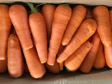 ������̵���������ե롼�Ĥˤ󤸤󣱣����ڶ彣���ۡڤ���äȤ櫓����̵������