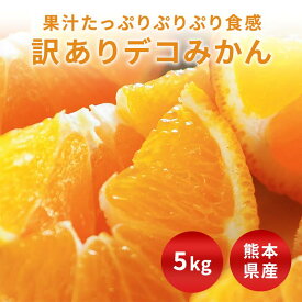 【送料無料】訳あり　デコみかん　箱込約5kg　不良果実補償分500gを含む　熊本県産　農薬不使用　デコポンと同品種　キズや変形や黒シミや肌よごれ有り　フルーツマイスター　べジップル