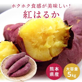 2025年新物!! 紅はるか 箱込約5kg以上 さつまいも サツマイモ べにはるか 熊本県産 九州産 大容量 野菜ソムリエ