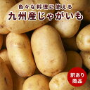 【お買い物マラソン応援価格!!】【送料無料】国産 じゃがいも 新じゃがいも 10kg 5kg 3kg 訳あり 大容量 男爵芋 メークイン カレーやシチューなどの料理に大活躍　お中元