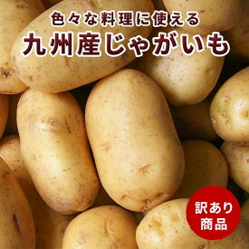 ＼お買い物マラソン限定！10kgが3,800円 → 2,980円！ 4月24日 20:00～ 27日 9:59【送料無料】国産　じゃがいも　新じゃがいも 10kg 5kg 訳あり 大容量 男爵芋 メークイン カレーやシチューなどの料理に大活躍