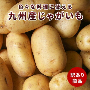 yzY Ⴊ VႪ 10kg 5kg 3kg 󂠂 e j݈ [NC J[V`[Ȃǂ̗ɑ劈@