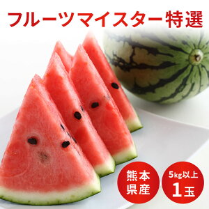 2025N H  5Lȏ F{Y XCJ{̐Aؒ@①ɂɂ傤ǂMTCY 7kgȏ̑ʂ̏ꍇL t[c}CX^[@@Z  ̓ ̓ 