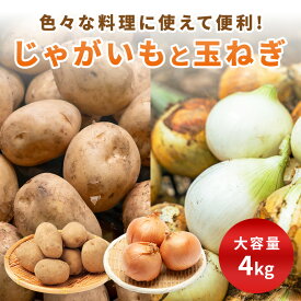 【送料無料】国産 じゃがいも　玉ねぎ　各種2kg詰め合わせ 合計4kg 野菜セット 野菜ソムリエ旬な産地から厳選　べジップル カレー シチュー バーベキュー BBQ 大容量