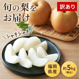 ［訳あり］なし 箱込約5kg以上 サイズお任せ 梨 福岡県産 幸水 豊水 秋麗 秋月 新高 新興 王秋 あたご等 野菜ソムエリ&フルーツマイスター なし ナシ ご家庭用