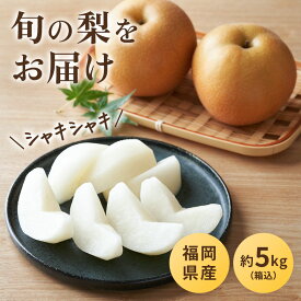 福岡県産 梨 箱込約5kg以上 幸水 豊水 秋麗 秋月 新高 新興 王秋 あたご等 なし ナシ 野菜ソムエリ&フルーツマイスター なし　ナシ　ご家庭用