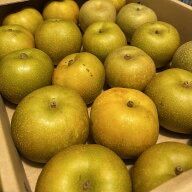 【お買い物マラソン応援価格4980→3380円!!】［ご家庭用］2026年 なし 約5kg サイズお任せ 梨 福岡県産 …