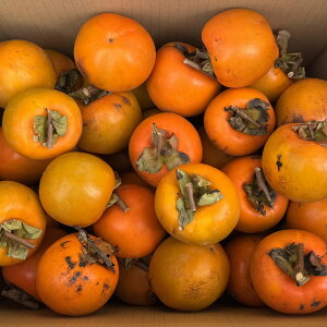 ی^ Ԋ` yz5kg (4.5kg+ۏؕ300g) }t `p ƒp F{Y Y ` ۂ` 󂠂 a` ݂邵`