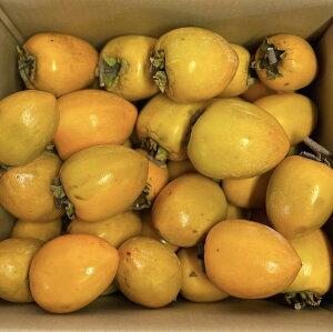 y}\i49803980~!!za`@10kgi悻30~60jY Ԋ` ݂邵` }t