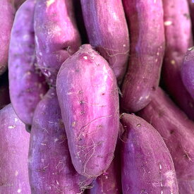 紅はるか さつまいも 約5kg 熊本県産 ホクホク 食物繊維 美容 サツマイモ 焼き芋 スイーツ 野菜ソムリエ　＊新物の為しっとりになりません！