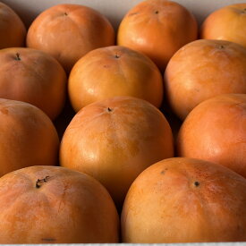 福岡県産 柿 富有柿 箱込約10kg以上(およそ60~30個) フルーツマイスター かき カキ kaki
