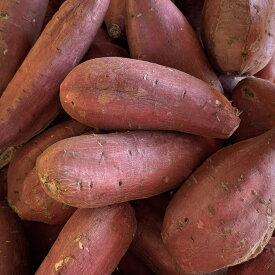 ［訳あり］2025年新物 さつまいも　箱込約10kg以上　紅はるか　大容量　熊本県産　焼き芋　スイーツ　野菜ソムリエ　フルーツマイスター　食物繊維　腸活　美容と健康に！＊新物の為しっとりにはなりません！