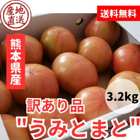 【訳ありうみとまと約3.2キロ】 送料無料 昔ながらの味わい 訳あり 熊本県産 玉名 トマト ジューシー 野菜 リコピン ビタミンC 美味しい 栄養価 食卓 美容 健康 メガ盛り 大容量 内祝い ギフト 贈り物 産直野菜 農園直送 VegeRise