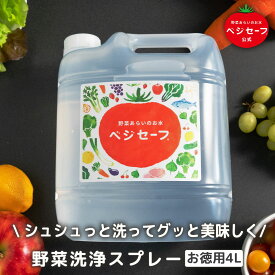【公式】ベジセーフ 詰め替え お徳用 4L 野菜洗い ベジセーフ お米 美味しい アルカリイオン水 アルカリ電解水 キッチン掃除 消臭スプレー 哺乳瓶 消毒 野菜 果物 洗浄 除菌スプレー ノンアルコール 農薬除去 野菜水切り 水切り 野菜 キャンプ 防災 BBQ 便利 送料無料