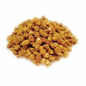 AT zCg}x[(K̎j 1kg 1pbN@̓