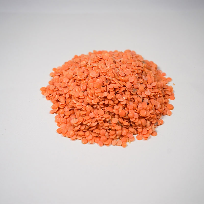 正規品 アリサン 無添加 自然食品 厳選素材 【再入荷】 1パック 有機赤レンズ豆 送料込 11.33kg